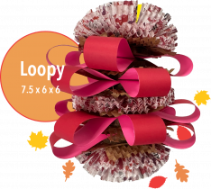 Holiday Loopy! Parrot Toy-For Small to Medium Birds